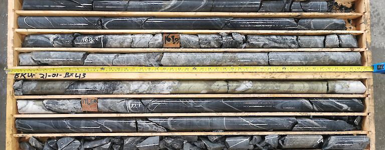 Canadian Critical Minerals Inc.